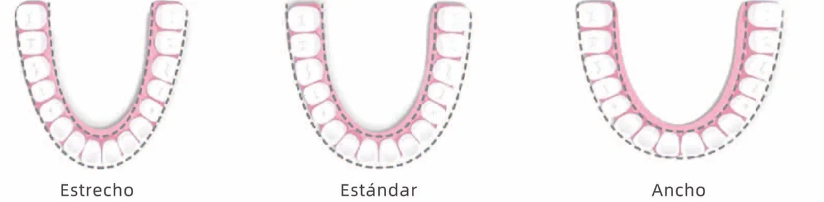 Tres formas de arco dental seleccionables: estrecho, estándar y ancho